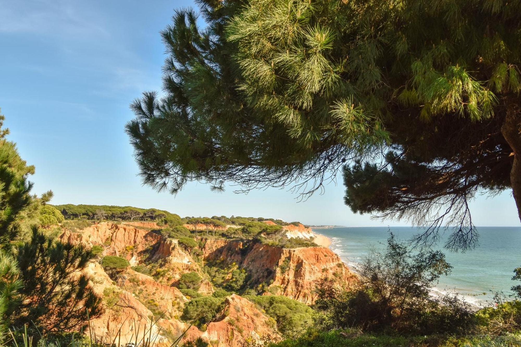 Bnb Homes Falesia Beach Cozy Apartment With Terrace & 2 Swimming Pools オーリョス・デ・アーグァ エクステリア 写真